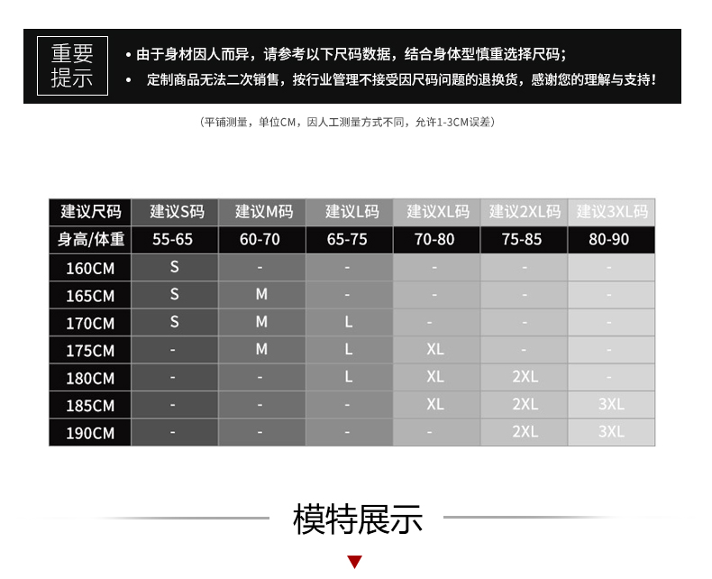 【Santic定制系列】极光 Aurora男款公路车骑行服上衣